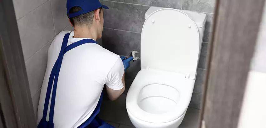Toilet Lid Replacement in Englewood